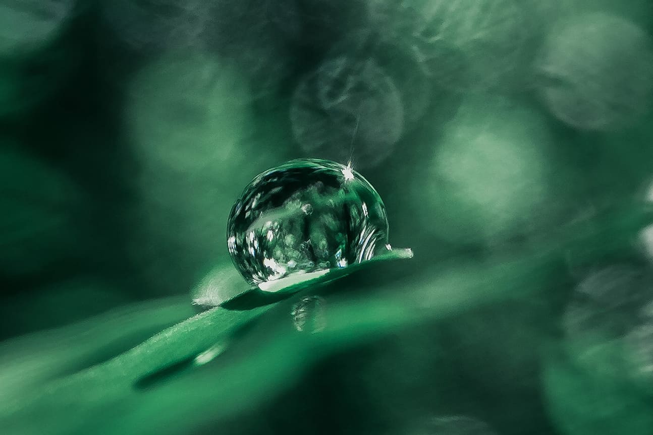 Cosmética natural VS. Cosmética convencional