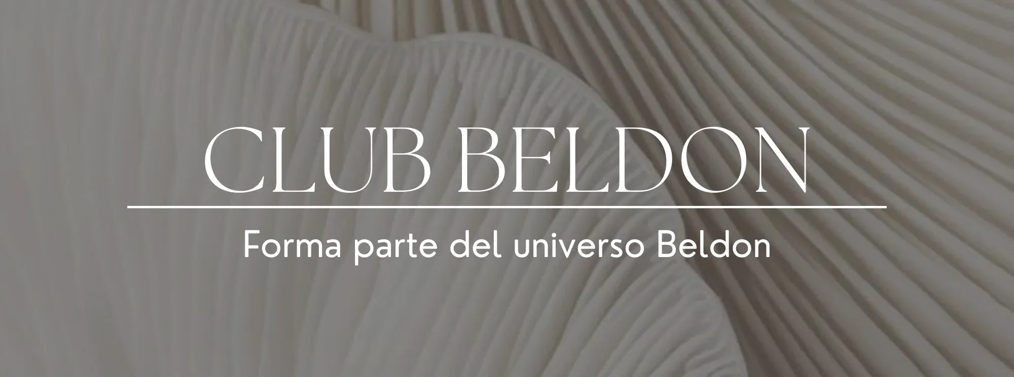 club beldon