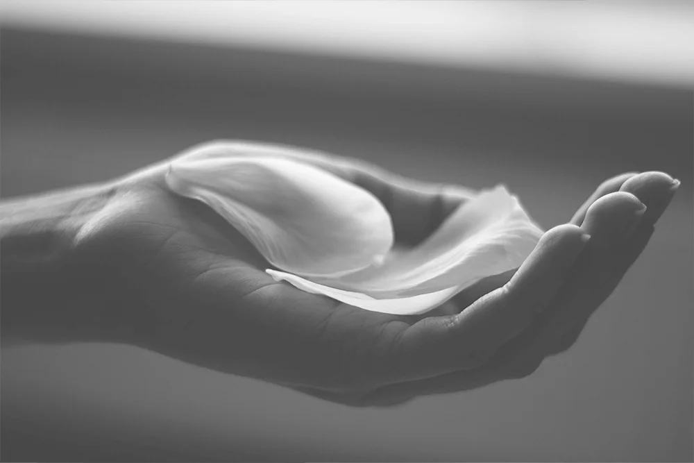 medical longevidad blog