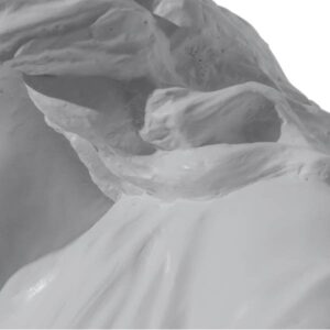 Regalo SPA Sculpting Facial