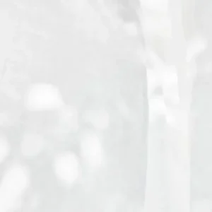 import placeholder for 96386