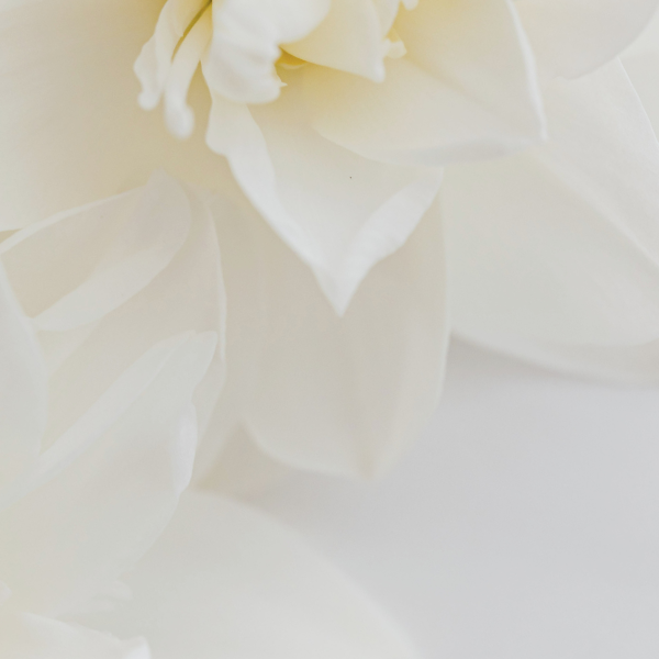 hydrafacial