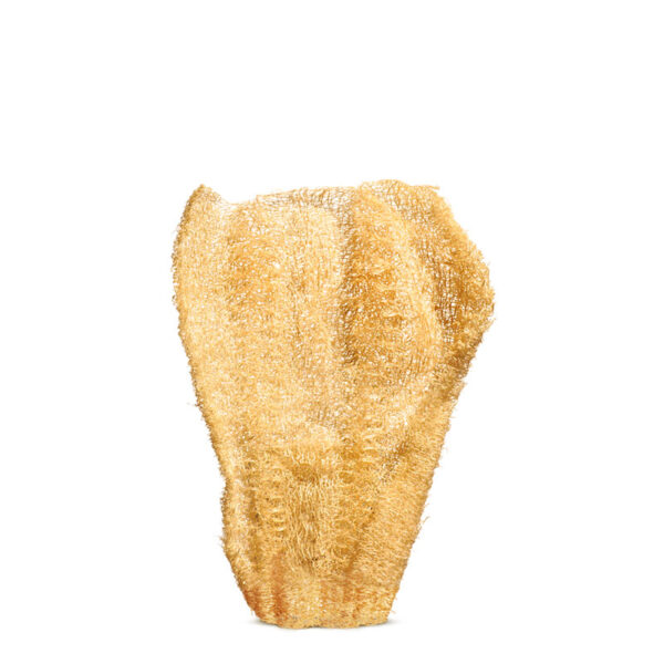 corpus fluentis ayuna
