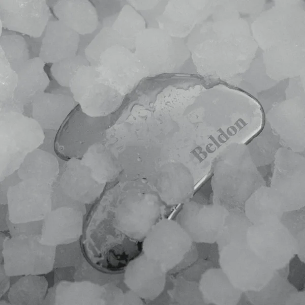 gua sha disponible en pre order