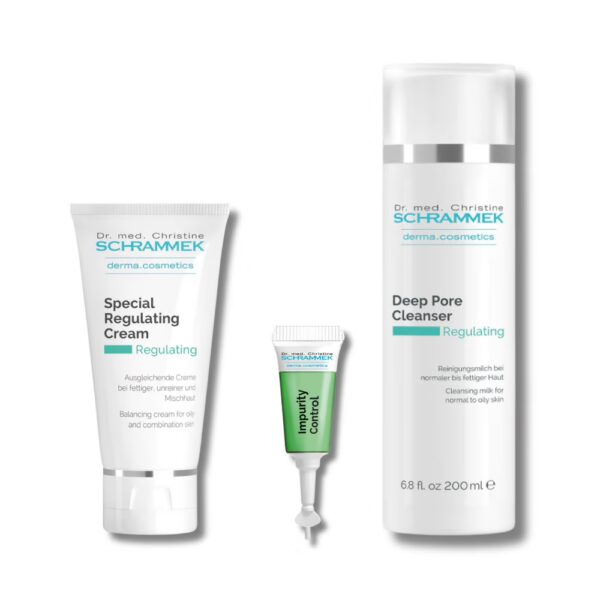 regulating kit dr schrammek