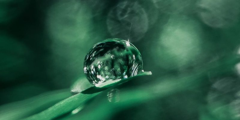 COSMÉTICA-NATURAL-VS.-COSMÉTICA-CONVENCIONAL-principal