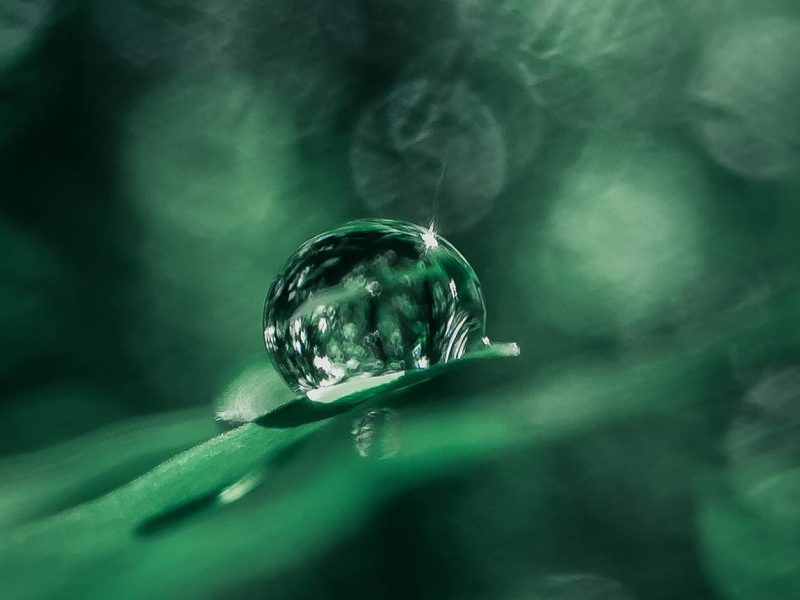 COSMÉTICA-NATURAL-VS.-COSMÉTICA-CONVENCIONAL-principal