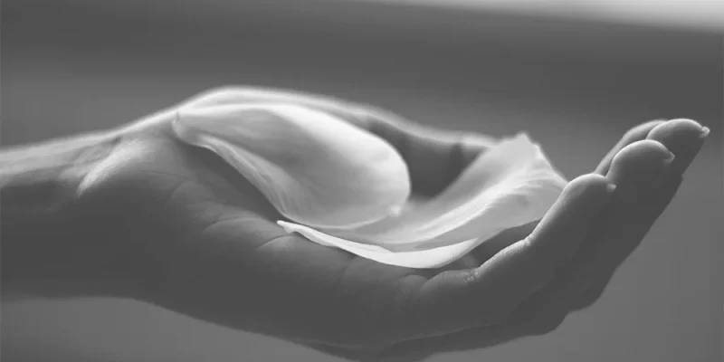 medical longevidad blog