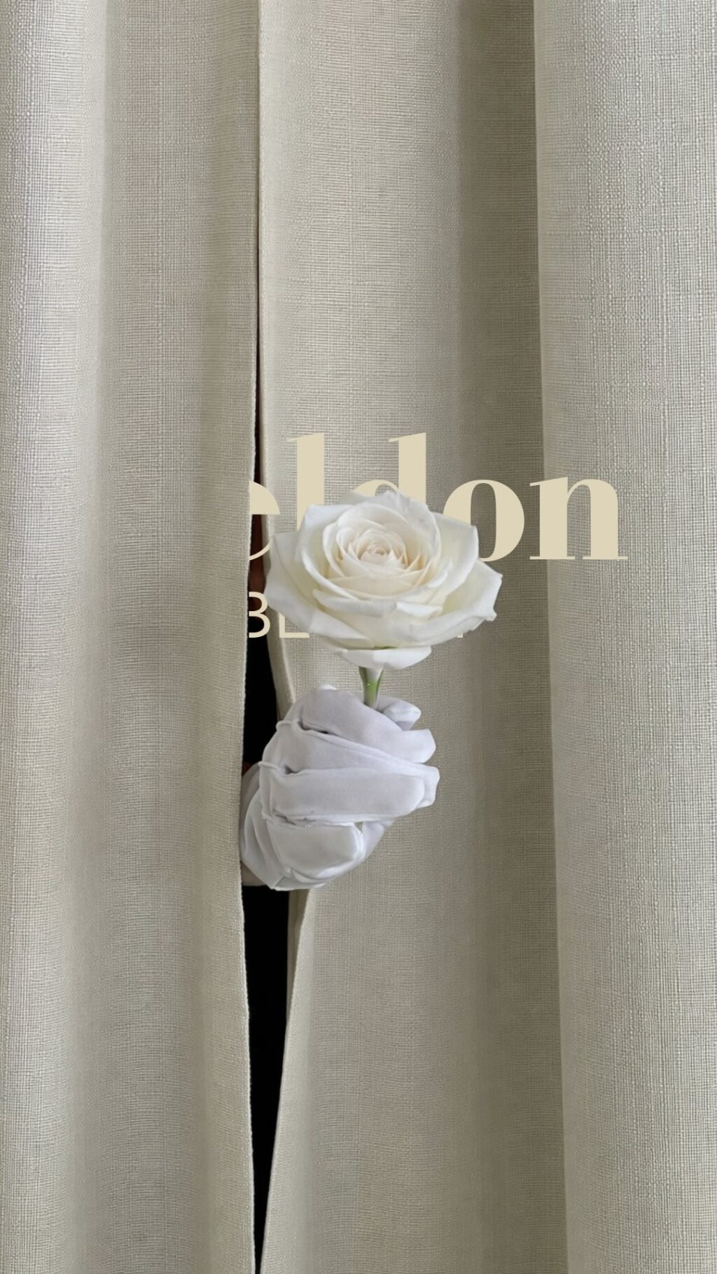 Instagram post from beldonbeauty. This post is in position 1.